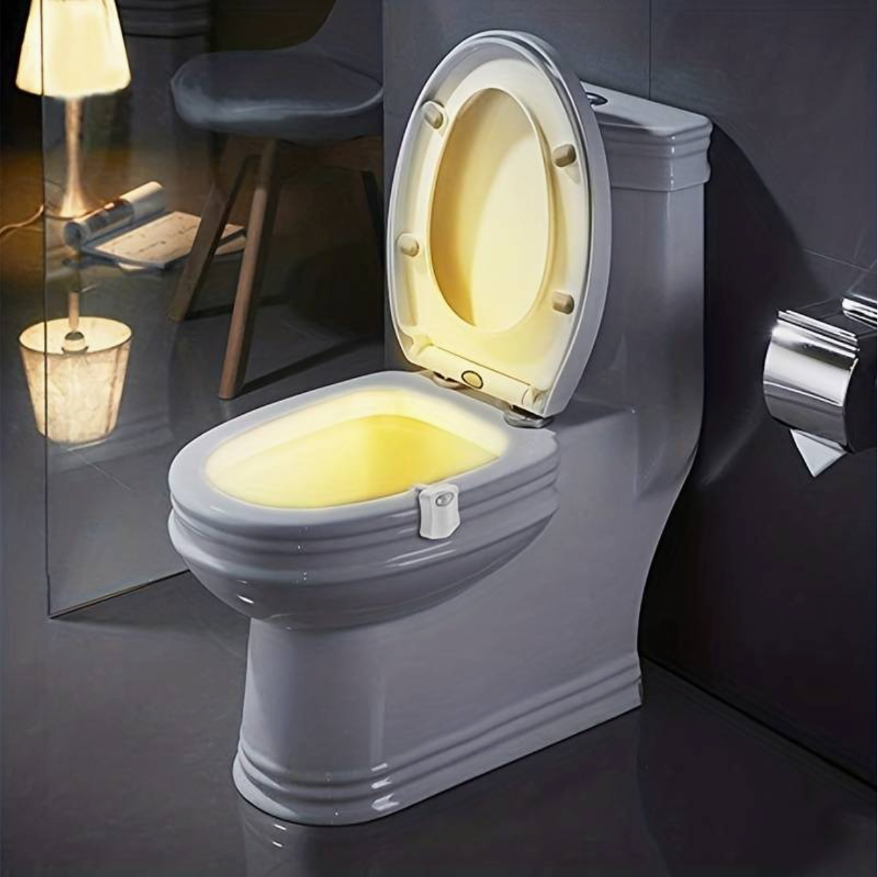 The Toilet Light